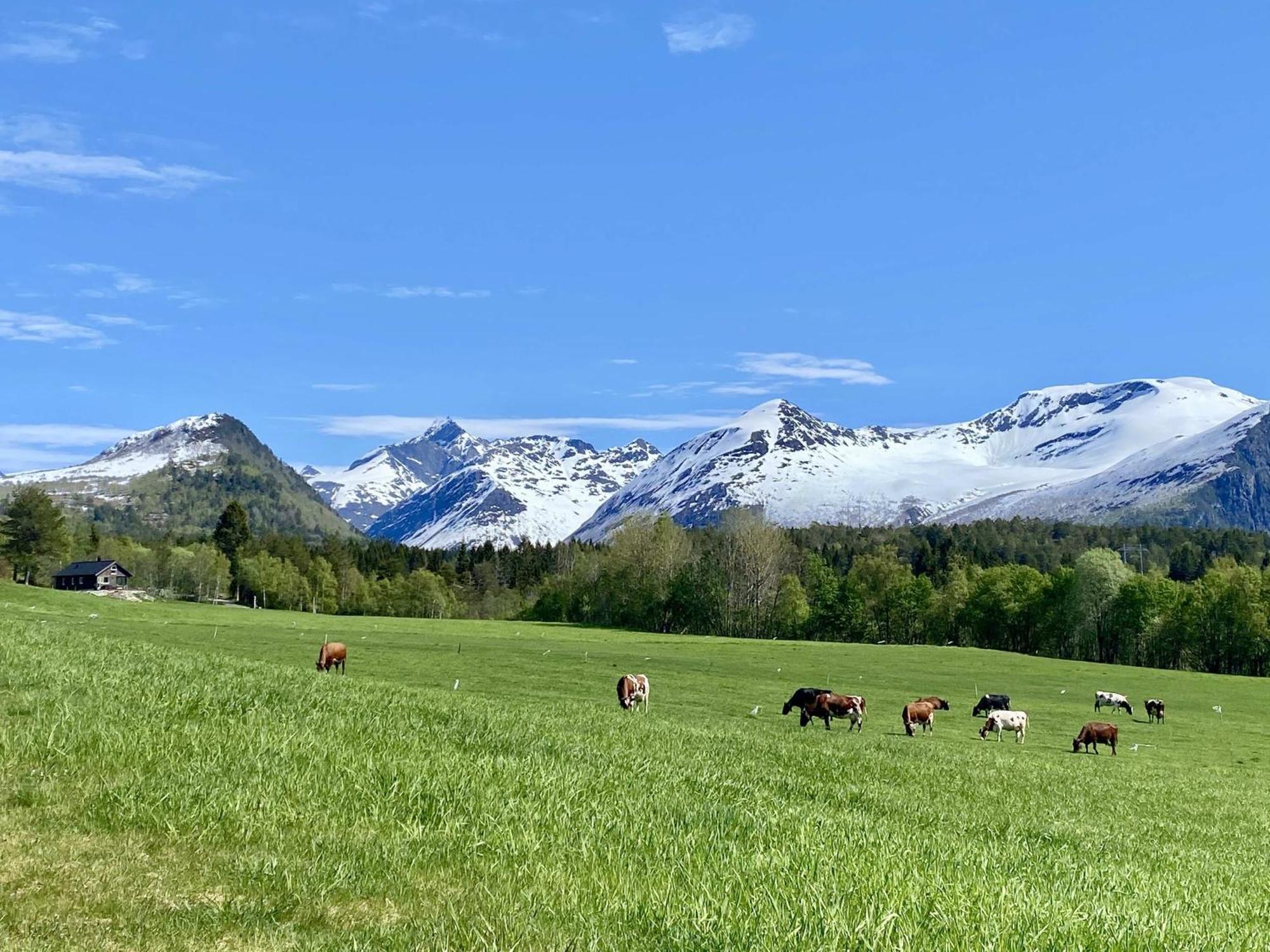 Вілла Heinali Hytta Isfjorden Екстер'єр фото